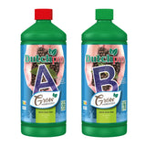 Olandijos profesionalus originalus „Grow Hydro/Coco HW A&B“