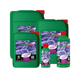 Olandese pro - multi totale