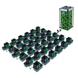 Sistemi EasyFeed 36 Pot 10L 16L