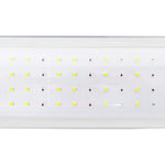 Omega 120W dưới đèn LED tán