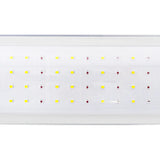 Omega 120W dưới đèn LED tán