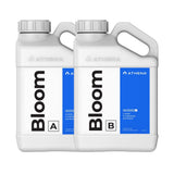 Atena Cleanse