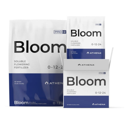 Athena Pro Bloom