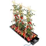 AutoPote XL 1 Pot Modulo 25L