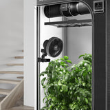 Bí mật Jardin khỉ fan hâm mộ 16w