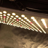 Gavita Pro 1700e LED Rosną światło