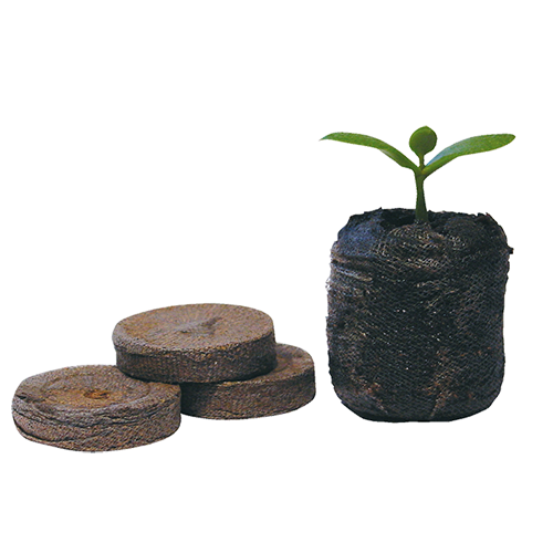 Come Utilizzare Palline Di Torba Per Le Istruzioni Di Coltivazione Delle Piantine Passo Versare O Compresse Cocco Con Acqua Bollita Image213090746 - Foto 5