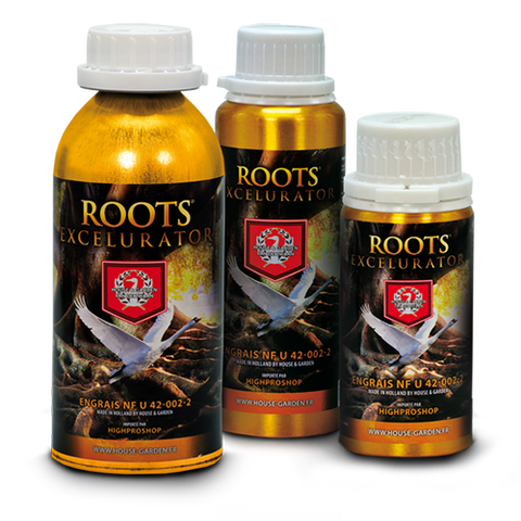Roots Excelurator | House & Garden | Hydroponics r us