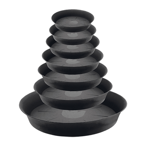Round Saucer - Black - Hull Hydroponics