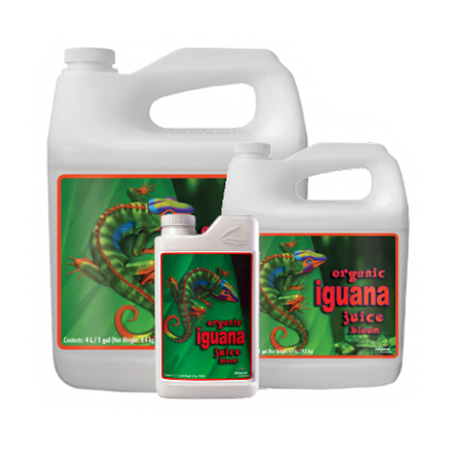 Iguana supplies best sale