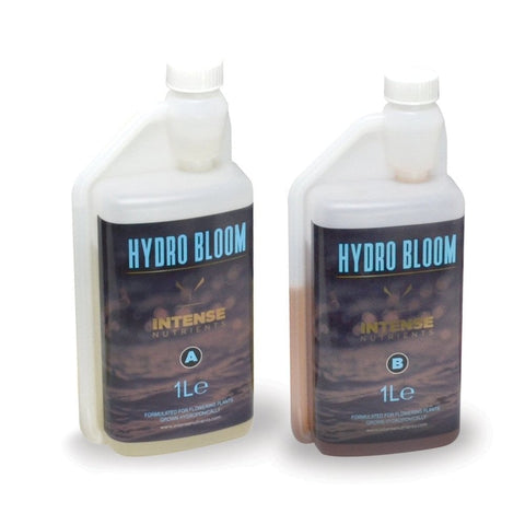 Intense Nutrients - Hydro Bloom
