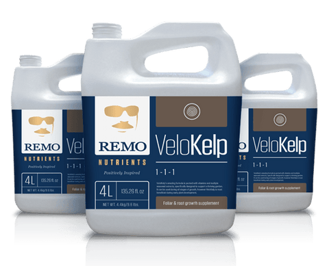 Nutrients - Remo VeloKelp